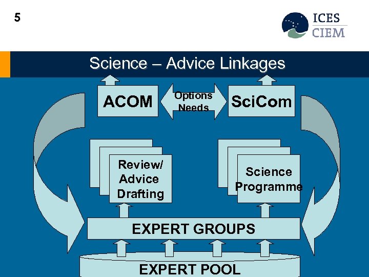 5 Science – Advice Linkages ACOM Review/ Advice Drafting Options Needs Sci. Com Science