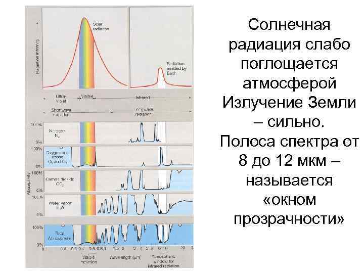 Новая земля радиация