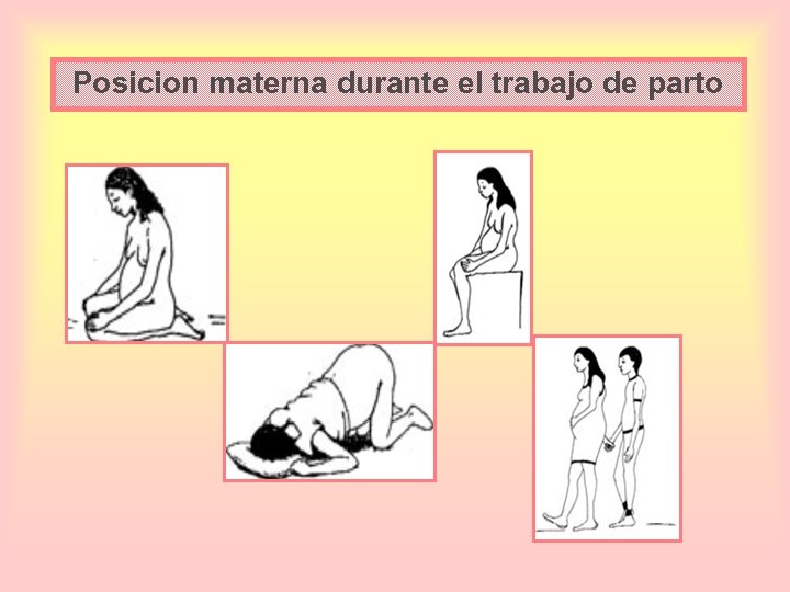 Posicion materna durante el trabajo de parto 