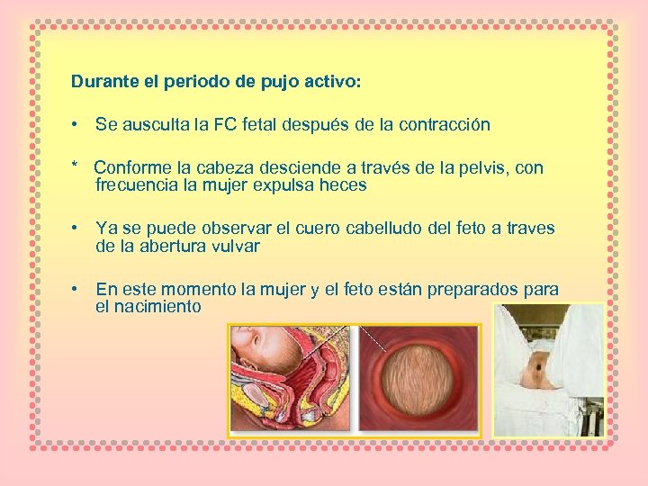 Durante el periodo de pujo activo: • Se ausculta la FC fetal después de