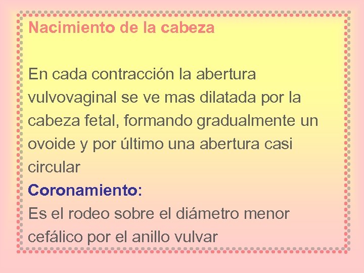 Nacimiento de la cabeza En cada contracción la abertura vulvovaginal se ve mas dilatada