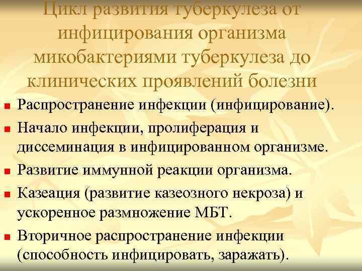 Цикл развития туберкулеза от инфицирования организма микобактериями туберкулеза до клинических проявлений болезни n n