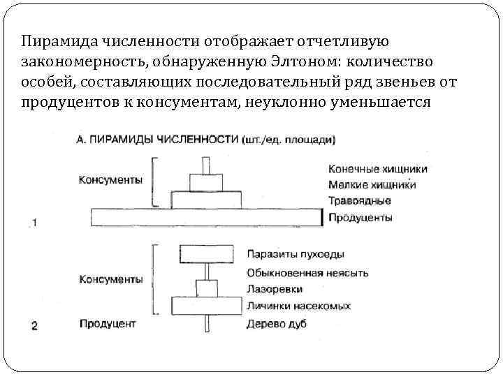 Составьте последовательную цепь из следующих составляющих плана маркетинга