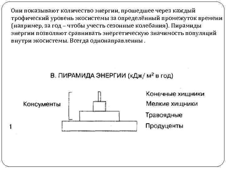 План революции чистой энергии и экологической справедливости