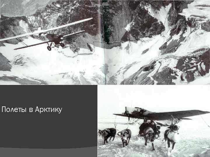 Полеты в Арктику 
