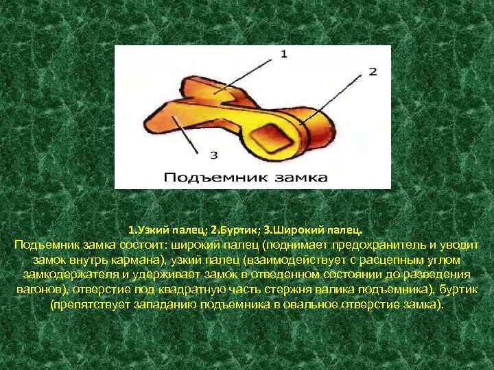 1. Узкий палец; 2. Буртик; 3. Широкий палец. Подъемник замка состоит: широкий палец (поднимает