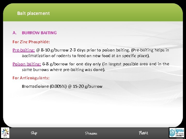 Bait placement A. BURROW BAITING For Zinc Phosphide: Pre-baiting: @ 8 -10 g/burrow 2