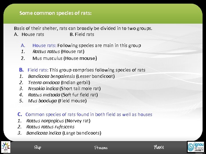 Some common species of rats: Basis of their shelter, rats can broadly be divided