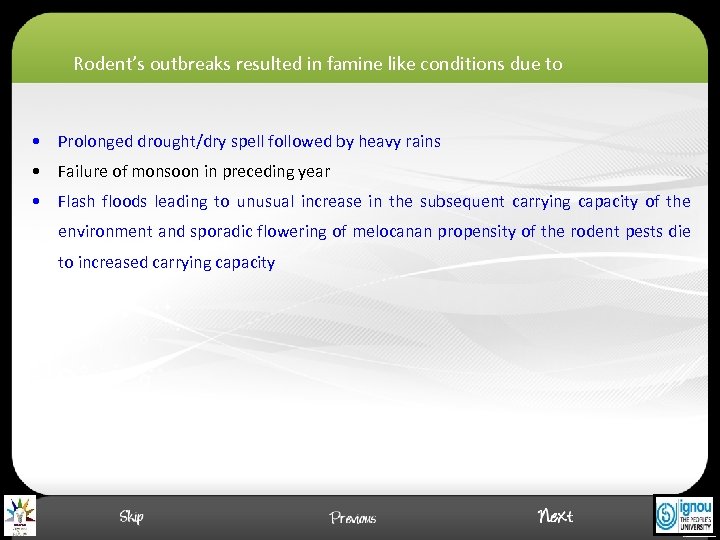 Rodent’s outbreaks resulted in famine like conditions due to • Prolonged drought/dry spell followed