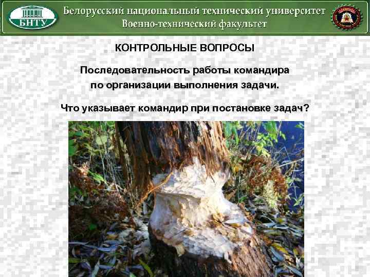КОНТРОЛЬНЫЕ ВОПРОСЫ Последовательность работы командира по организации выполнения задачи. Что указывает командир при постановке