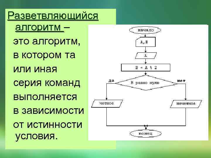 Разветвляющийся алгоритм – алгоритм это алгоритм, в котором та или иная серия команд выполняется