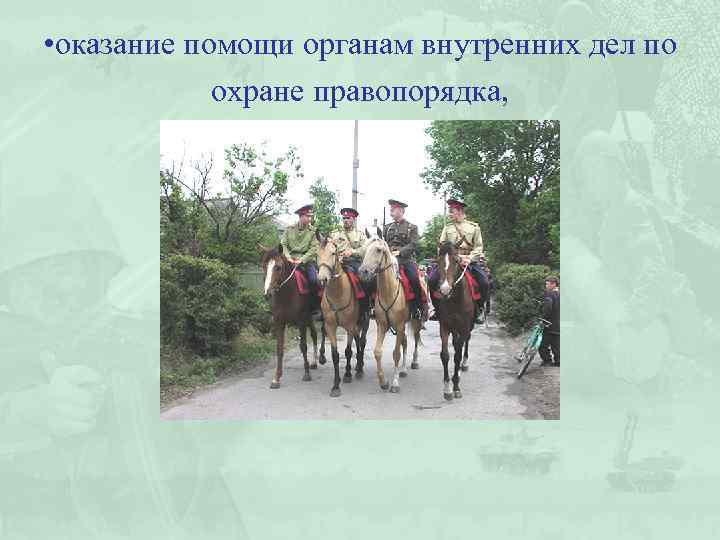  • оказание помощи органам внутренних дел по охране правопорядка, 