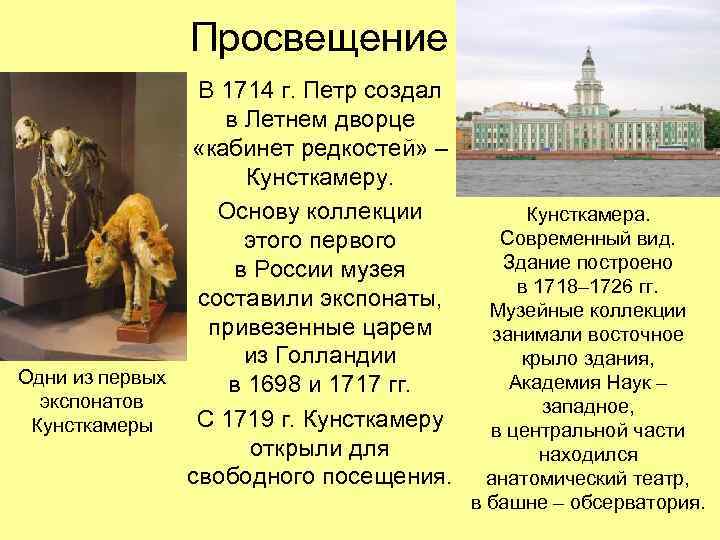 Просвещение В 1714 г. Петр создал в Летнем дворце «кабинет редкостей» – Кунсткамеру. Основу