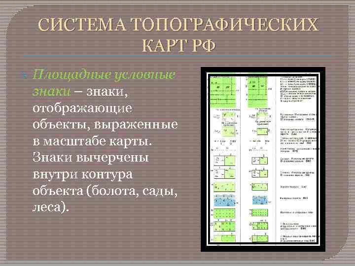 СИСТЕМА ТОПОГРАФИЧЕСКИХ КАРТ РФ Ø Площадные условные знаки – знаки, отображающие объекты, выраженные в