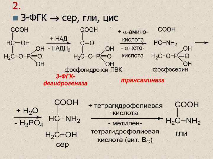 2. n 3 -ФГК сер, гли, цис 