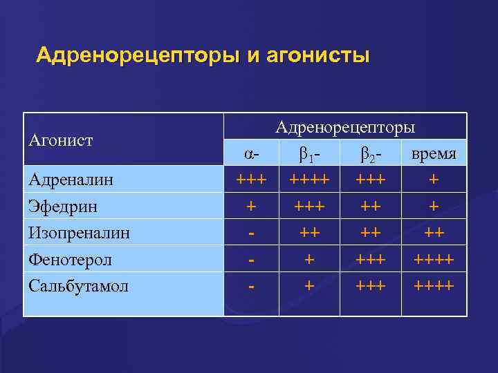 Адренорецепторы и агонисты Агонист Адреналин Эфедрин Изопреналин Фенотерол Сальбутамол Адренорецепторы αβ 1β 2 время