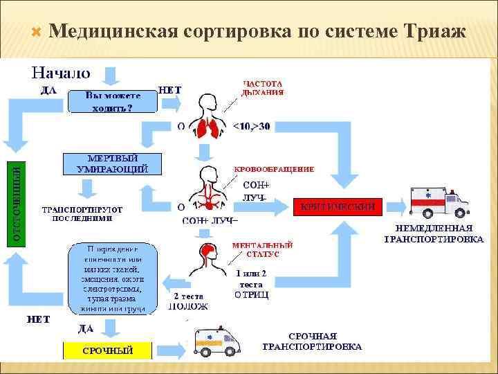 Н систем. Сортировка пациентов по триаж системе. Современная система медицинской сортировки триаж. Медицинская сортировка триаж. Современная система медицинской сортировки или триаж в медицине.