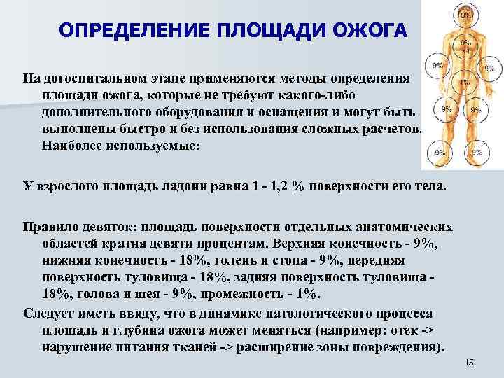 ОПРЕДЕЛЕНИЕ ПЛОЩАДИ ОЖОГА На догоспитальном этапе пpименяются методы опpеделения площади ожога, котоpые не тpебуют