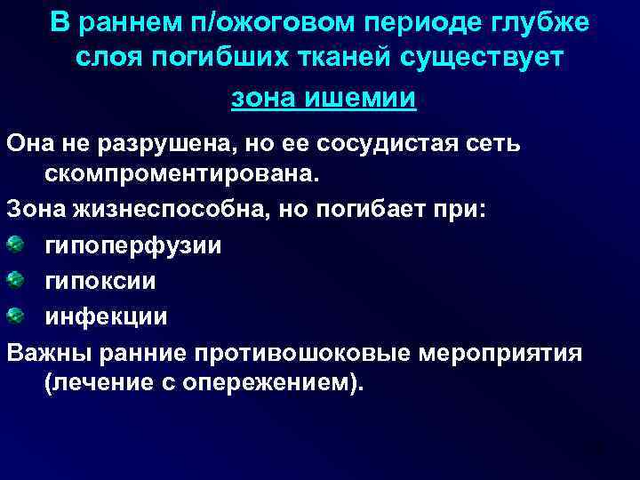 В раннем п/ожоговом периоде глубже слоя погибших тканей существует зона ишемии Она не разрушена,