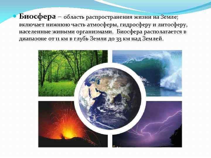  Биосфера – область распространения жизни на Земле; включает нижнюю часть атмосферы, гидросферу и