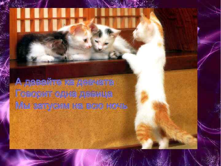 А давайте ка девчата Говорит одна девица Мы затусим на всю ночь 