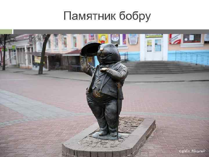 Памятник бобру 