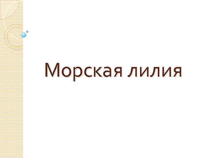 Морская лилия 