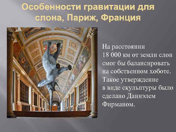 Особенности гравитации для слона, Париж, Франция На расстоянии 18 000 км от земли слон