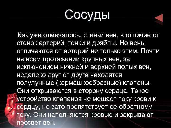 Сосуды Как уже отмечалось, стенки вен, в отличие от стенок артерий, тонки и дряблы.