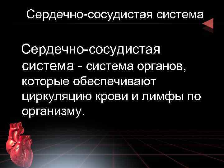 Сердечно-сосудистая система - система органов, которые обеспечивают циркуляцию крови и лимфы по организму. 