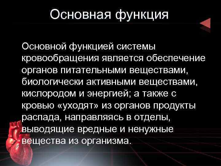 К системе кровообращения относятся