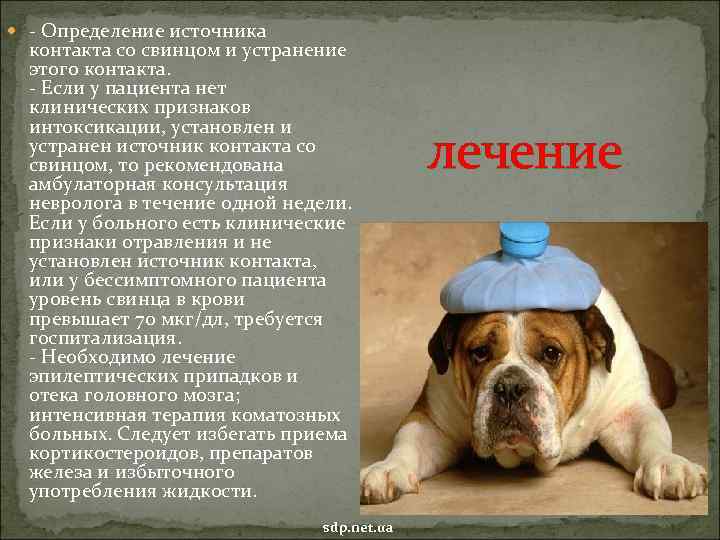  Определение источника контакта со свинцом и устранение этого контакта. Если у пациента нет