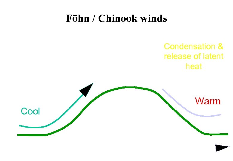 Föhn / Chinook winds Condensation & release of latent heat Cool Warm 