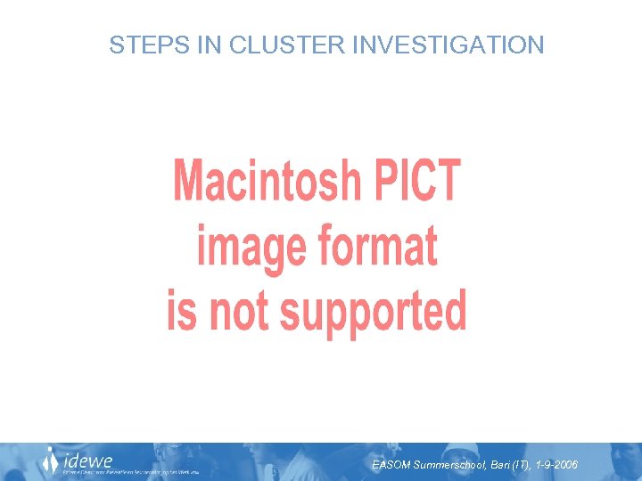 STEPS IN CLUSTER INVESTIGATION EASOM Summerschool, Bari (IT), 1 -9 -2006 