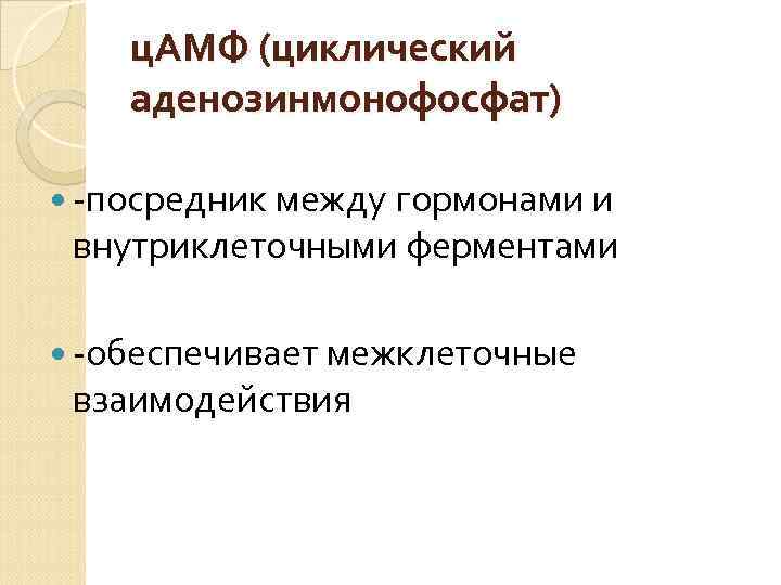 ц. АМФ (циклический аденозинмонофосфат) -посредник между гормонами и внутриклеточными ферментами -обеспечивает межклеточные взаимодействия 