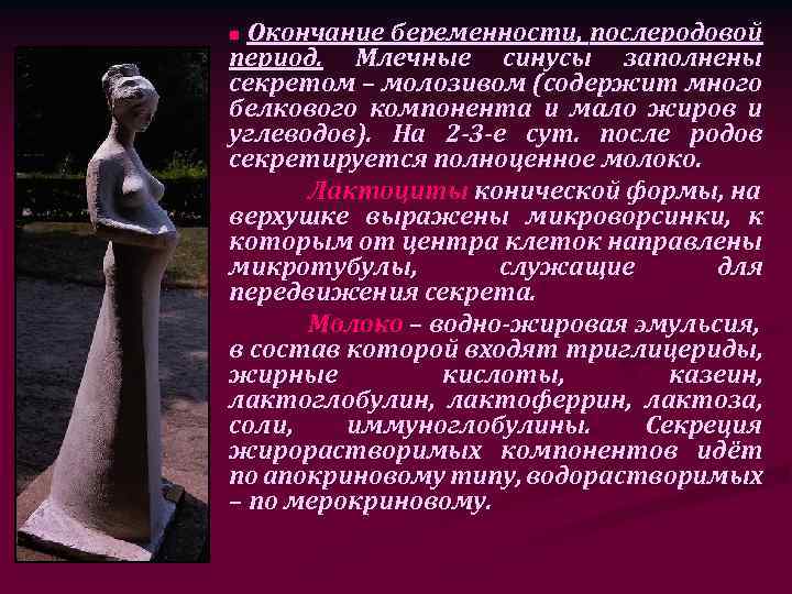 Окончание беременности, послеродовой период. Млечные синусы заполнены секретом – молозивом (содержит много белкового компонента