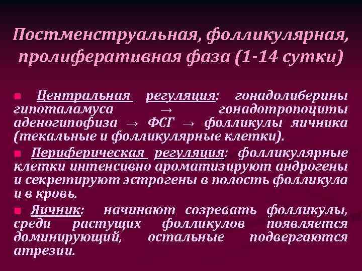 Постменструальная, фолликулярная, пролиферативная фаза (1 -14 сутки) Центральная регуляция: гонадолиберины гипоталамуса → гонадотропоциты аденогипофиза