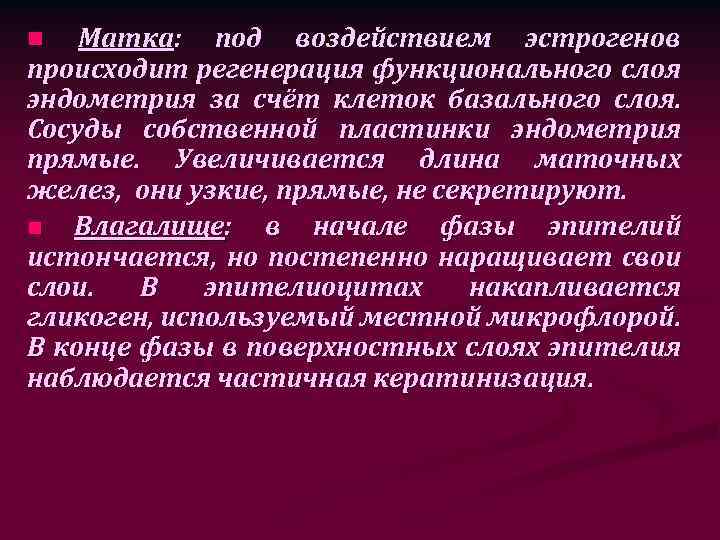 Матка: под воздействием эстрогенов происходит регенерация функционального слоя эндометрия за счёт клеток базального слоя.