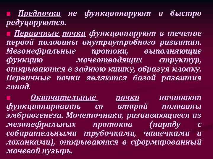 Предпочки не функционируют и быстро редуцируются. n Первичные почки функционируют в течение первой половины