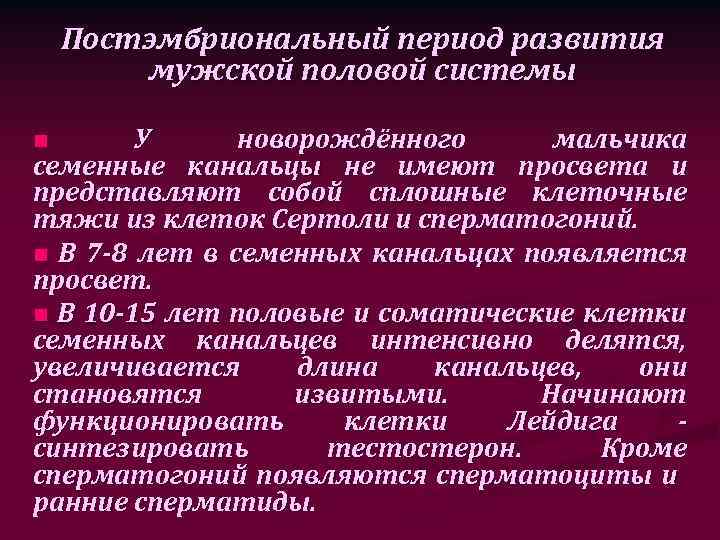 Постэмбриональный период развития мужской половой системы У новорождённого мальчика семенные канальцы не имеют просвета