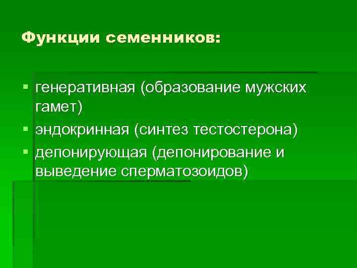 Функции семенников: § генеративная (образование мужских гамет) § эндокринная (синтез тестостерона) § депонирующая (депонирование