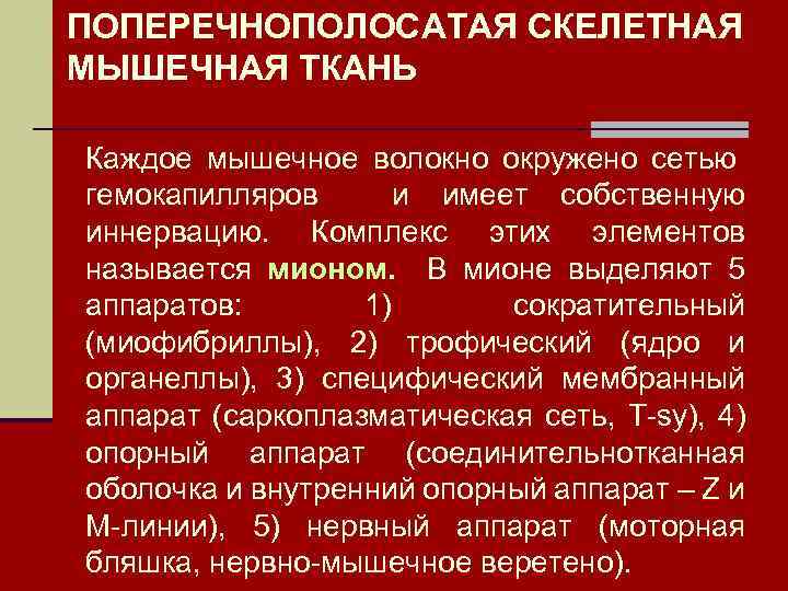 ПОПЕРЕЧНОПОЛОСАТАЯ СКЕЛЕТНАЯ МЫШЕЧНАЯ ТКАНЬ Каждое мышечное волокно окружено сетью гемокапилляров и имеет собственную иннервацию.