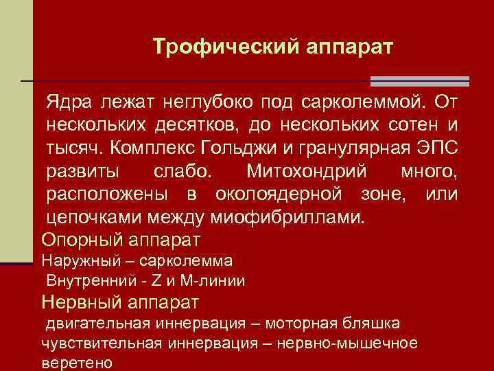Трофический аппарат Ядра лежат неглубоко под сарколеммой. От нескольких десятков, до нескольких сотен и