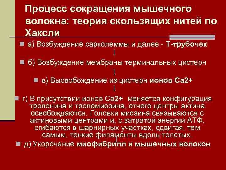 Процесс сокращения мышечного волокна: теория скользящих нитей по Хаксли n а) Возбуждение сарколеммы и