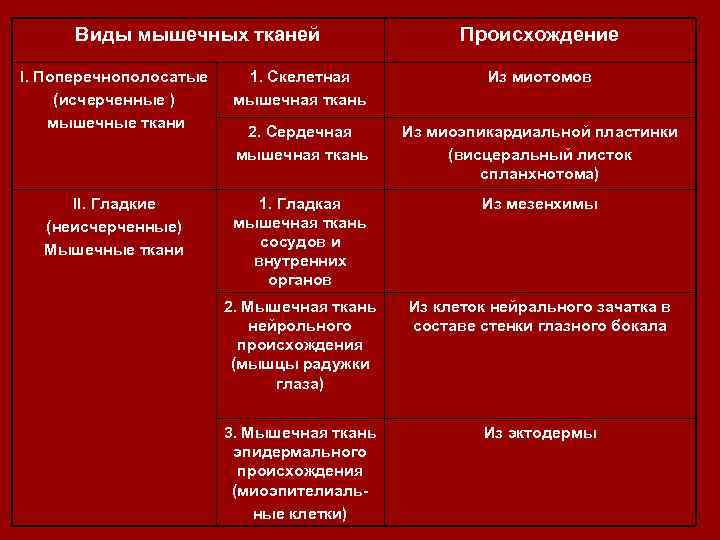 Особенности поперечно полосатой сердечной. Источники развития мышечных тканей. Классификация мышечной ткани. Гладкая и поперечно полосатая мышечная ткань таблица. Сравнение гладкой и поперечнополосатой мышечных тканей.