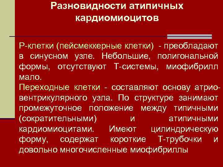 Разновидности атипичных кардиомиоцитов Р-клетки (пейсмеккерные клетки) - преобладают в синусном узле. Небольшие, полигональной формы,