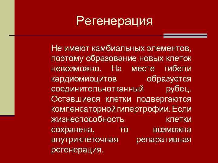 Регенерация Не имеют камбиальных элементов, поэтому образование новых клеток невозможно. На месте гибели кардиомиоцитов