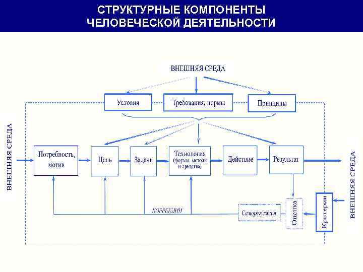 СТРУКТУРНЫЕ КОМПОНЕНТЫ ЧЕЛОВЕЧЕСКОЙ ДЕЯТЕЛЬНОСТИ 