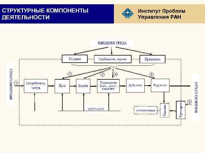 СТРУКТУРНЫЕ КОМПОНЕНТЫ ДЕЯТЕЛЬНОСТИ РАН 