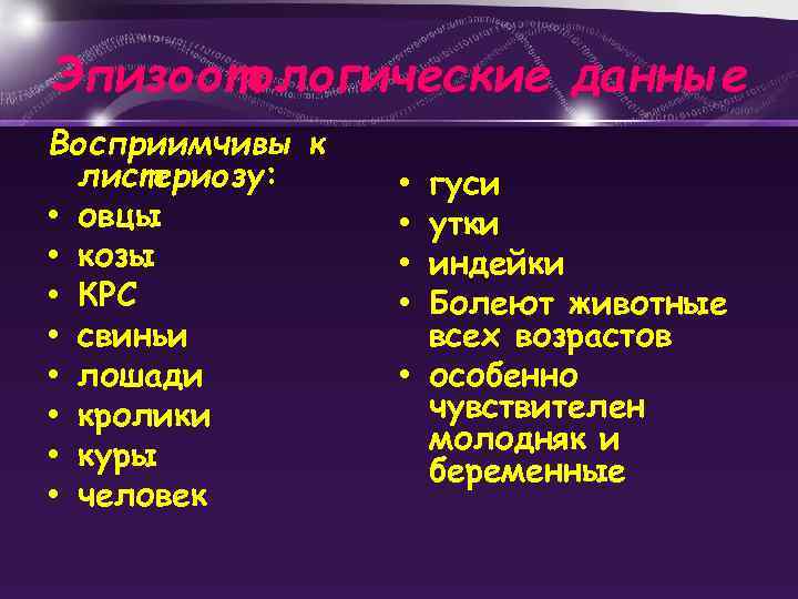 Эпизоотологические данные Восприимчивы к листериозу: • овцы • козы • КРС • свиньи •